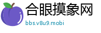 合眼摸象网